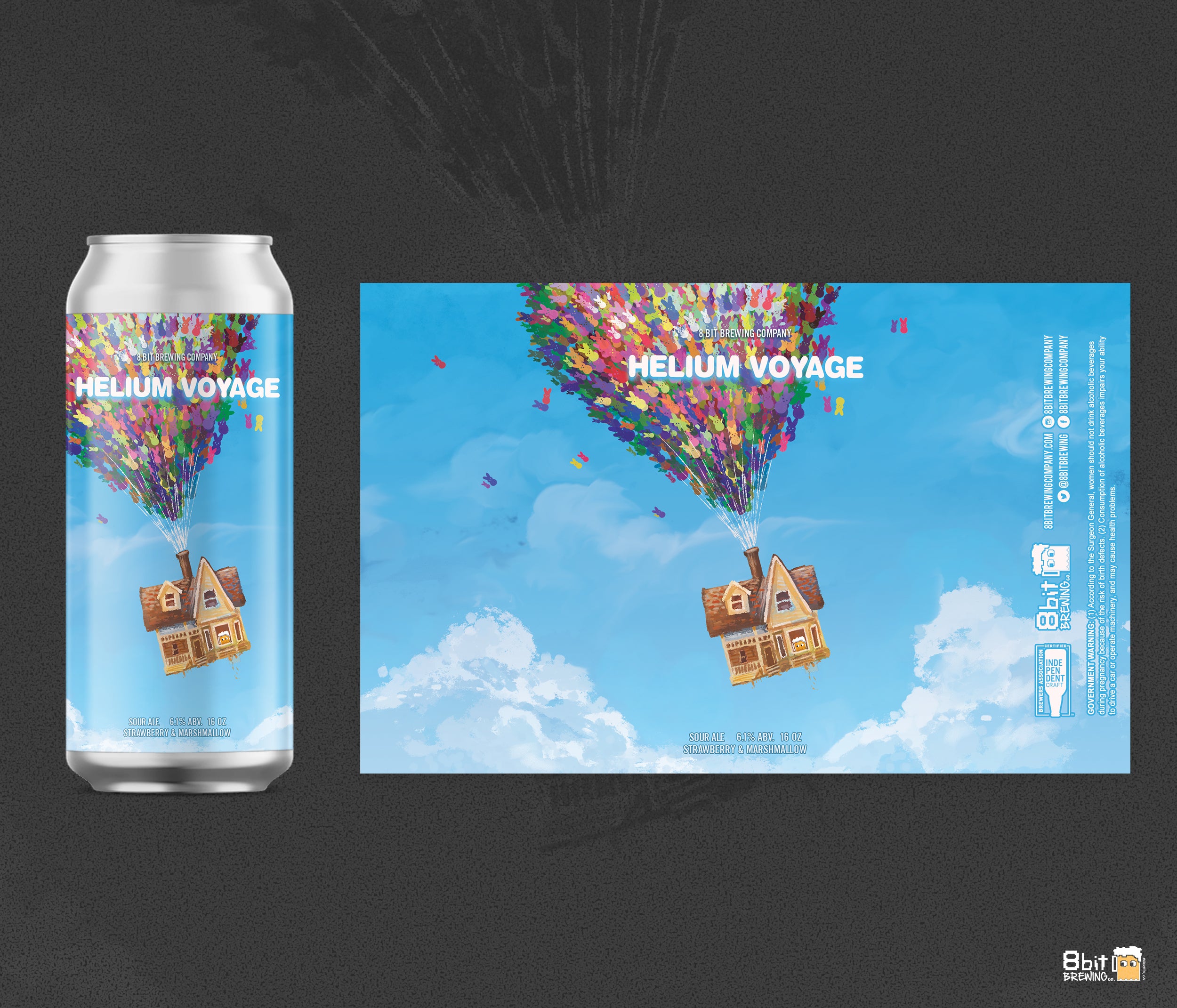 "Helium Voyage" Sour Ale 4-pack (PICK UP ONLY)