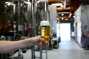 "Hydration Station" Pilsner 4-pack (PICK UP ONLY)